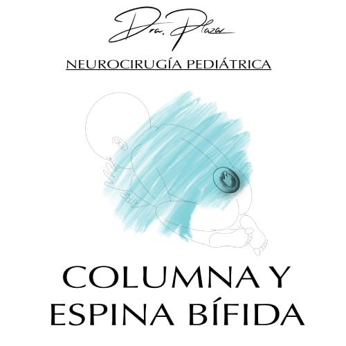 columna y espina bifida neurocirugia